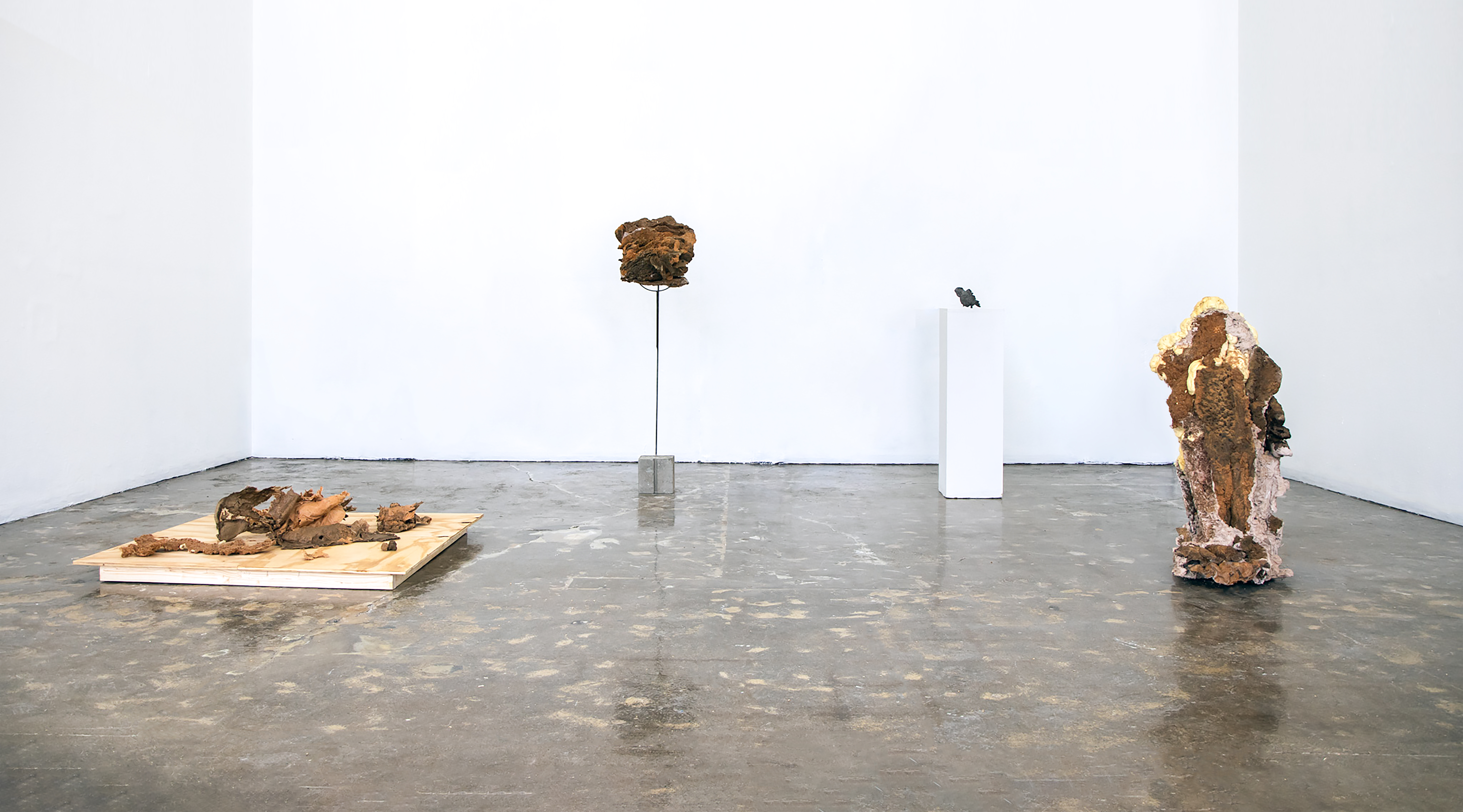 Things Will Turn Around